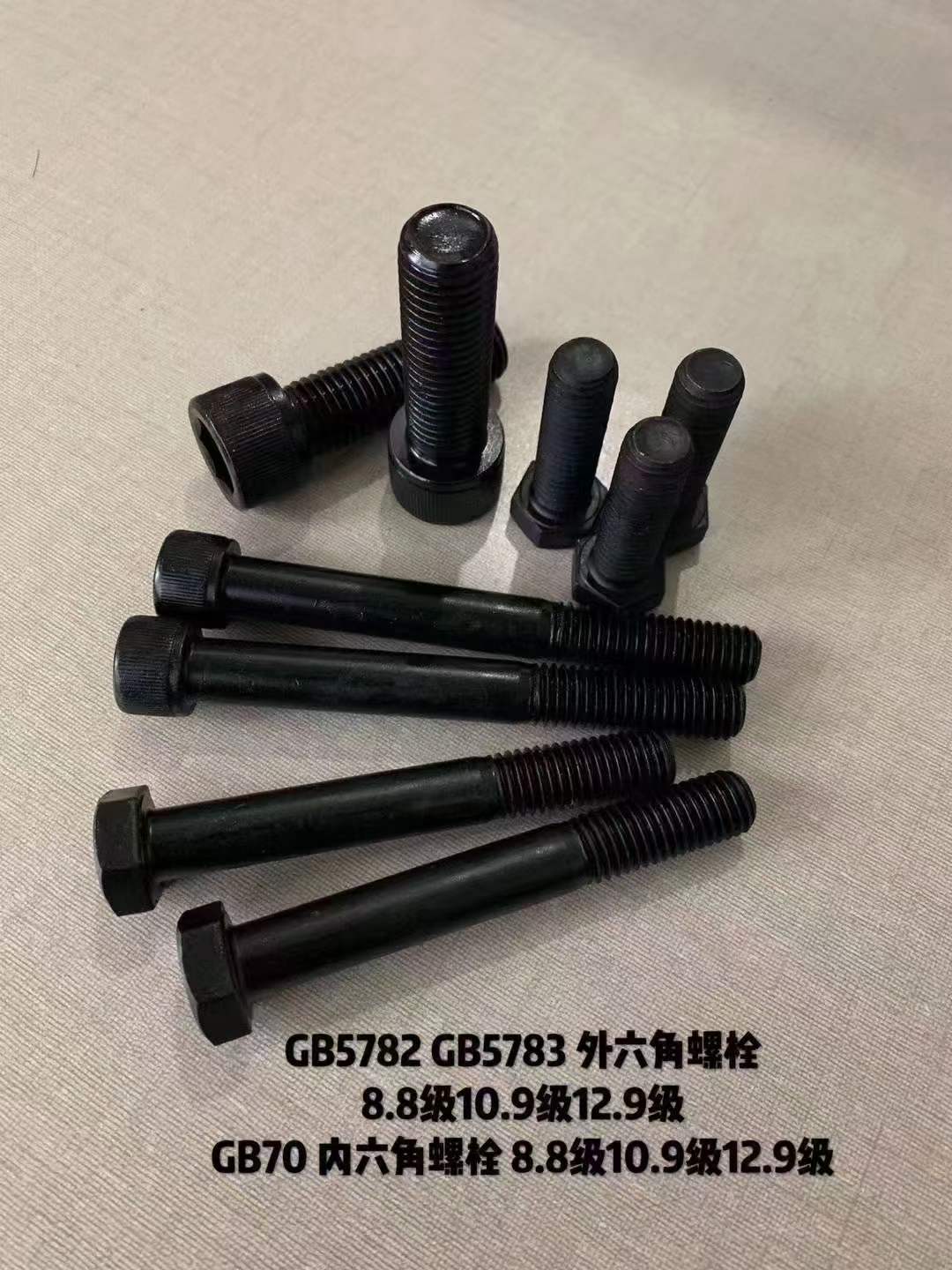 1772183696661648.jpg 微信圖片_20241101123703.jpg
